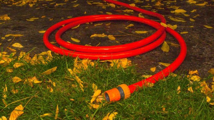 Please, for the sake of your grass, don't make these 8 fall lawn care mistakes